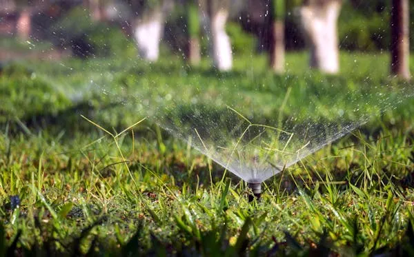 Sprinkler system watering a residential lawn in San Antonio